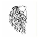 Logo de Pretty Curly Girl